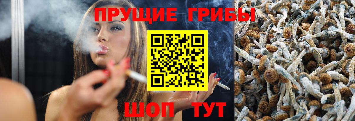 Галлюциногенные грибы прущие грибы  Галлюциногенные грибы ЛСД  Вход с VPN  Буйнакск 